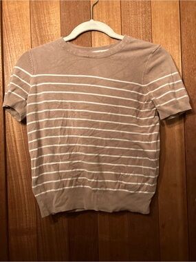 Short Sleeve Crewneck Stripe Tee in Light Taupe